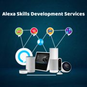 Success-driven Alexa skills development services