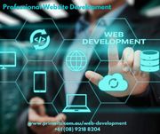 Professional Website Development