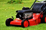 Experienced Garden Care and Maintenance Service in Brisbane