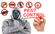 Flatlinepest Control - Pest Control Central Coast