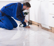 Looking for pest control services in Sandhurst?