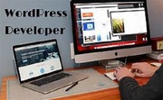 Great WordPress Developer Agency in Sydney