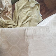 Quality Carpet Cleaning Service in Brisbane