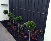 Garden Maintenance Melbourne | Bayside Gardening