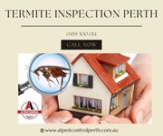 Best Pest Control Company Offering Free Termite Inspection In Perth