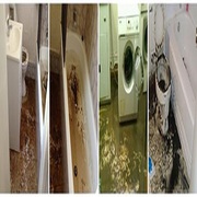 Sewage Cleaning Melbourne | Wet Carpet Cleaners