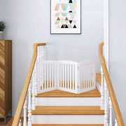 Buy Dog Accessories Online In Australia | Emutree.com.au