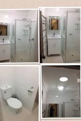 Sewer Tree Root Removal services in Sydney