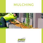 Enhance Your Garden with Professional Mulching Services