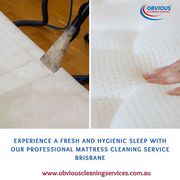 Best Carpet Cleaning in Brisbane! Expert Services at Your Doorstep!