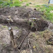 Drain Pipe Tree Root Removal in Paddington