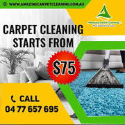 Expert Carpet & Mattress Cleaning in Redland Bay