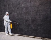 Affordable Pest Control Brisbane Northside – Free Quotes Available