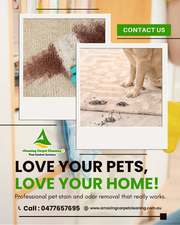 Top Mattress Cleaning & Carpet Services in North Brisbane